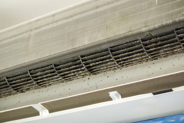 Best HVAC Air Duct Cleaning  in Bay St Louis, MS